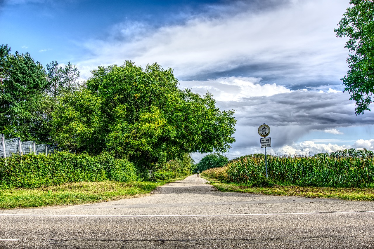 Image - road asphalt landscape agriculture