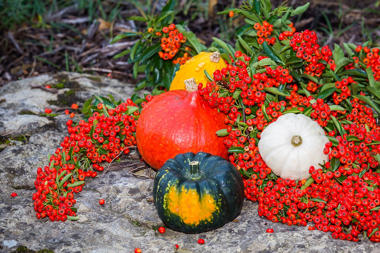 Image - pumpkin sea buckthorn autumn