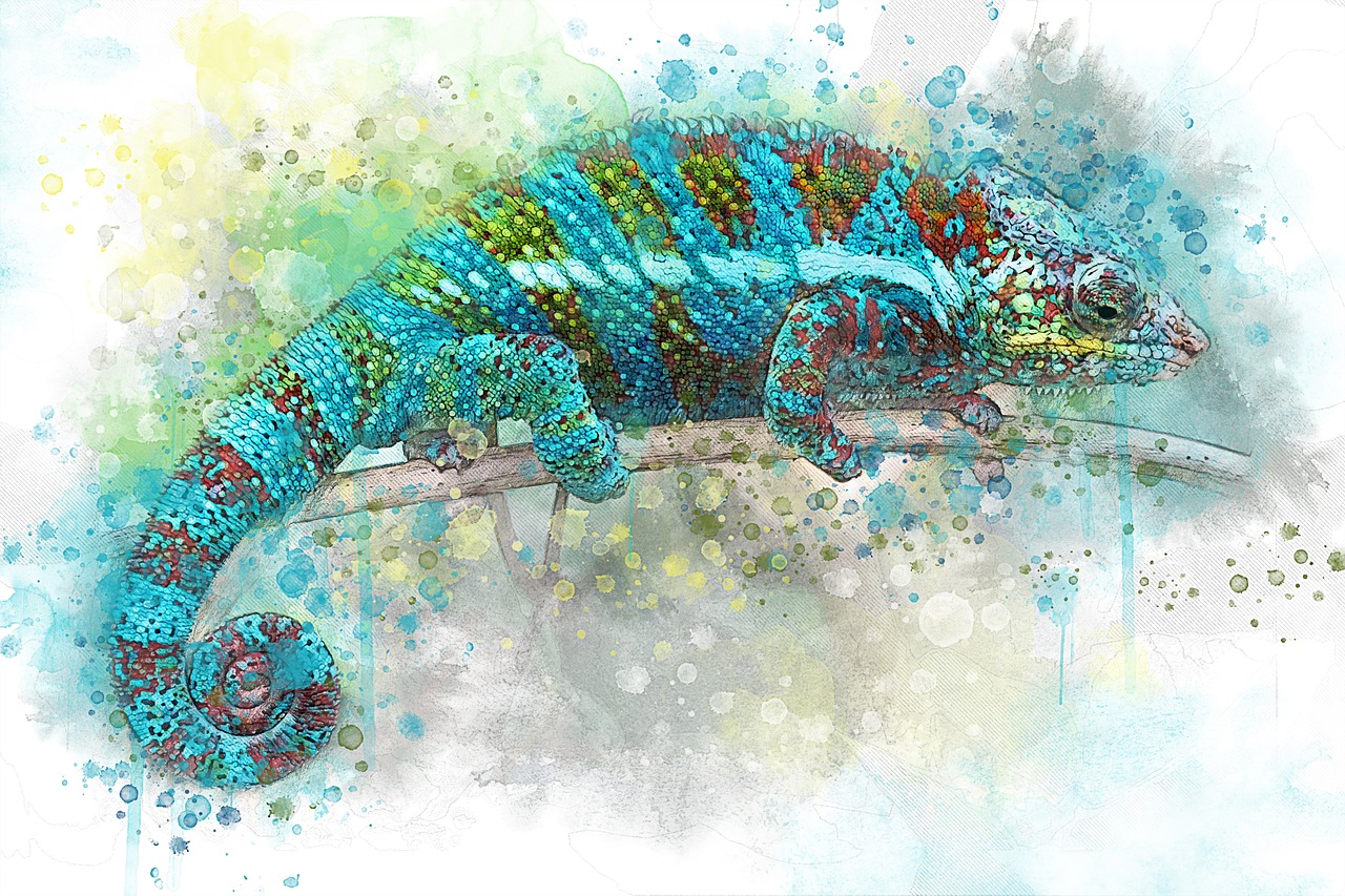 Image - chameleon reptile lizard zoo