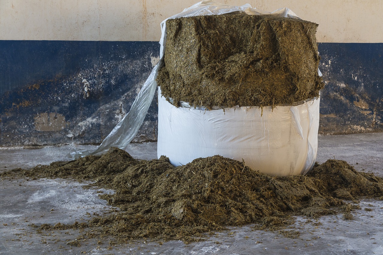 Image - diets total silage