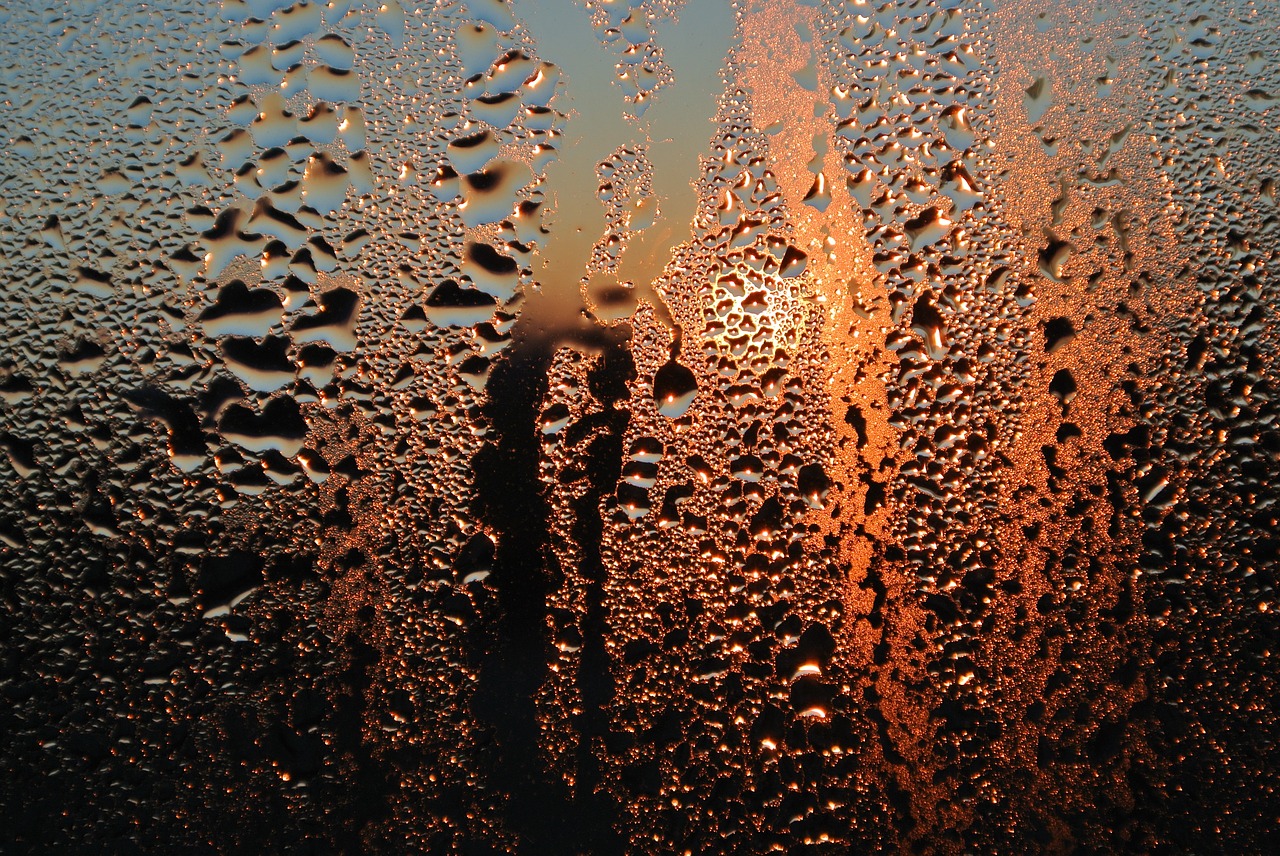 Image - glass condensation sunrise drip