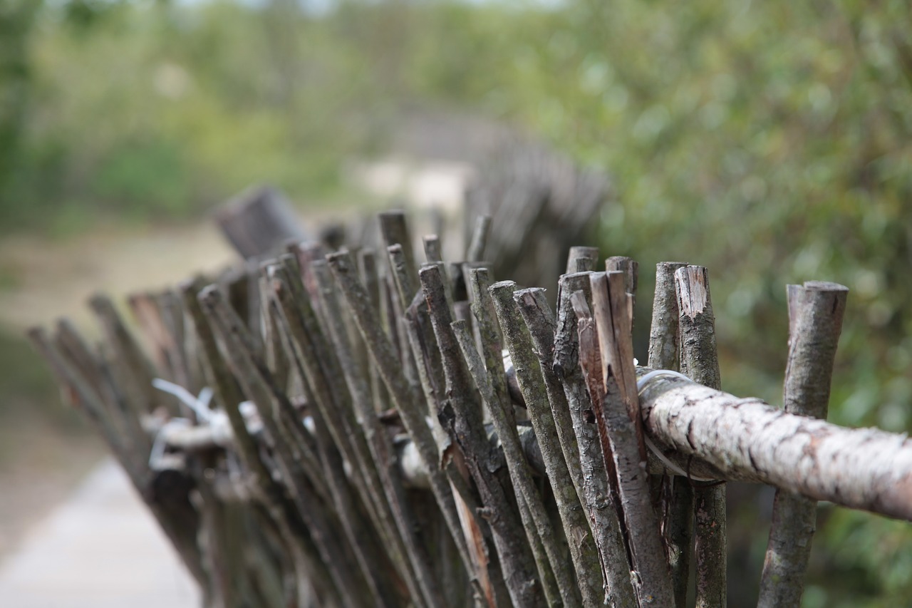 Image - fence landscape the bushes journey