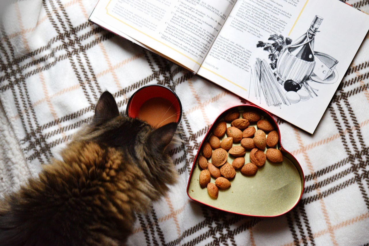 Image - food flat lay morning coffee