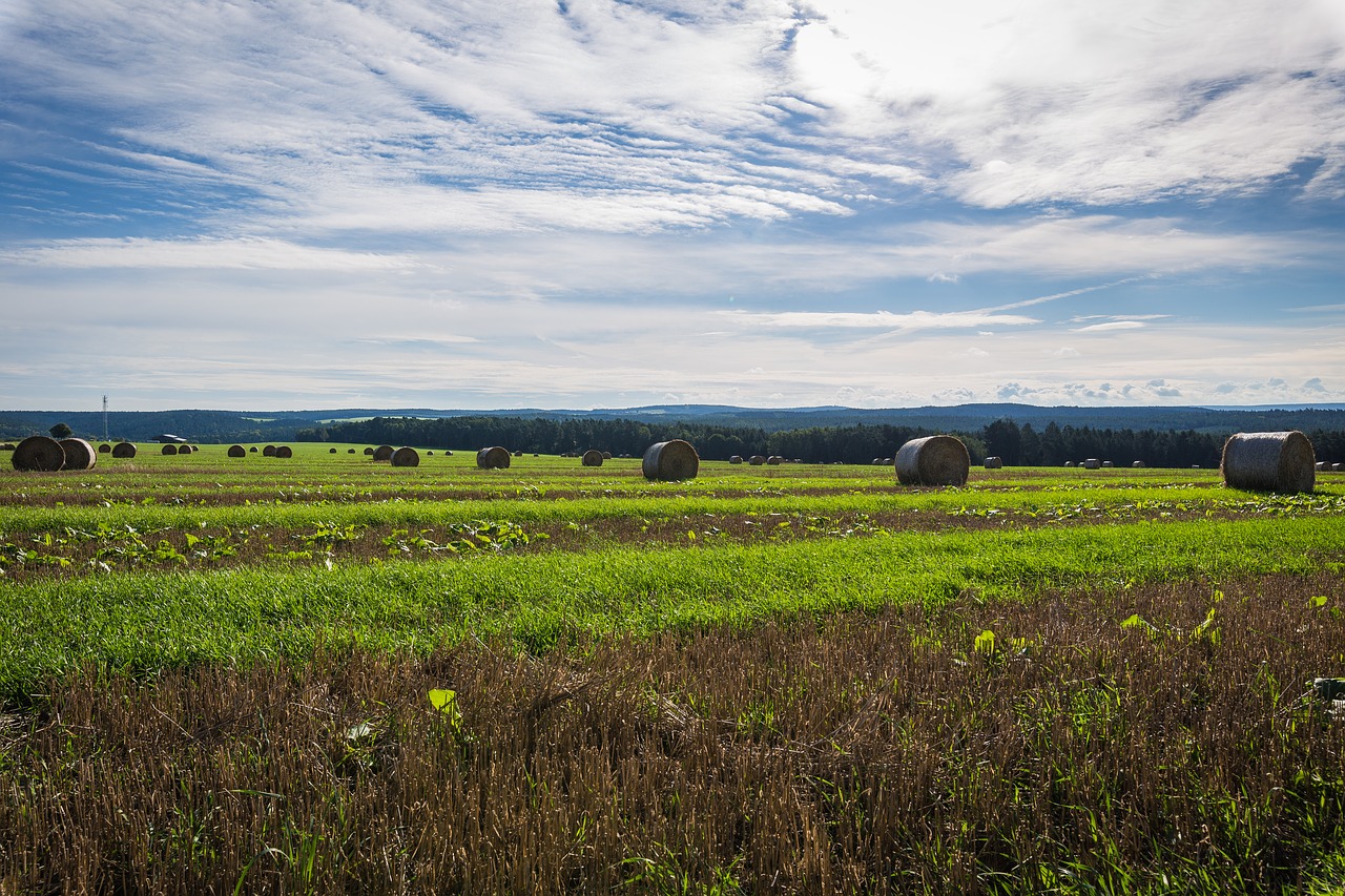 Image - field straw landscape straw bales
