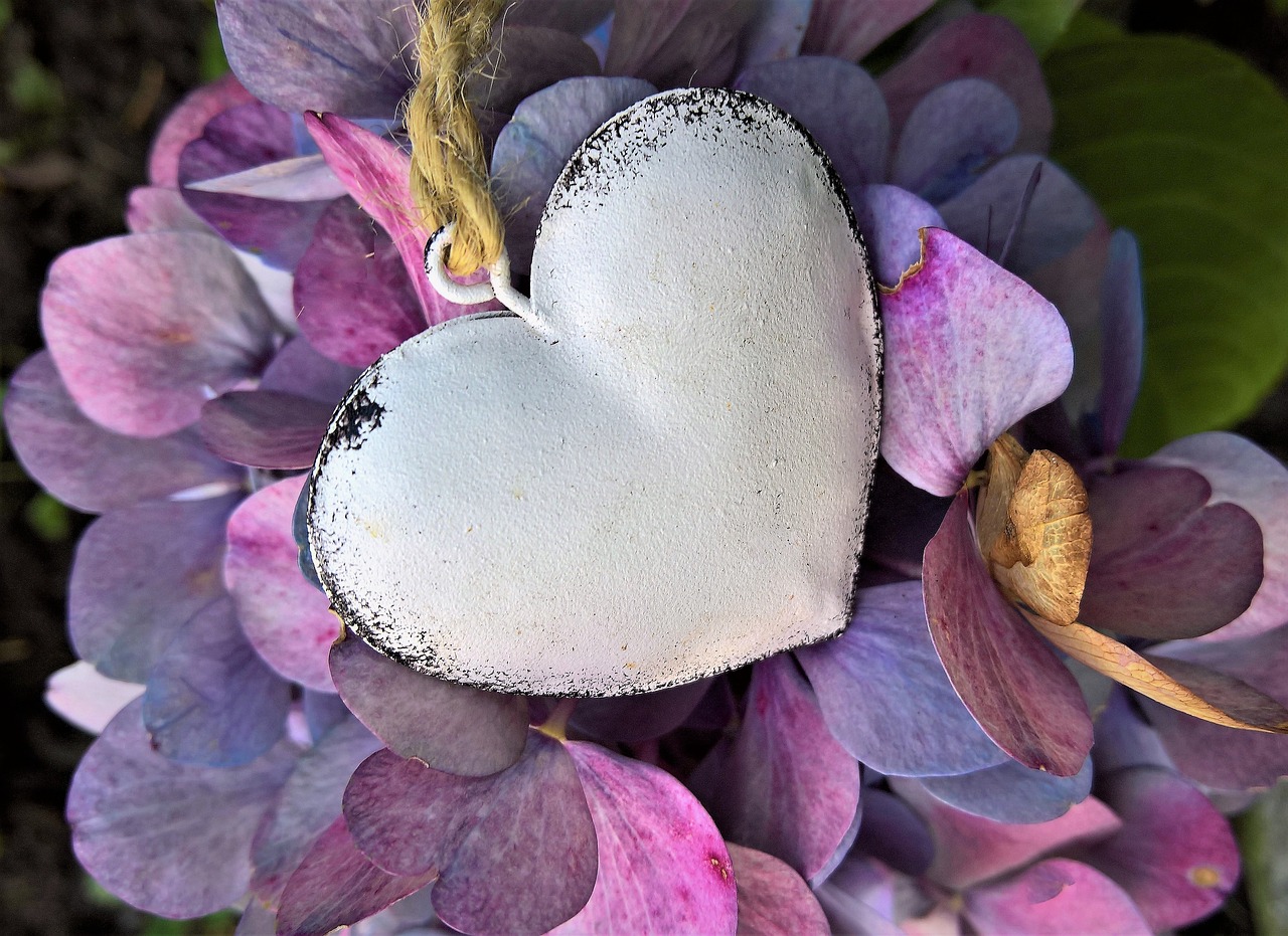 Image - hydrangeas heart autumn