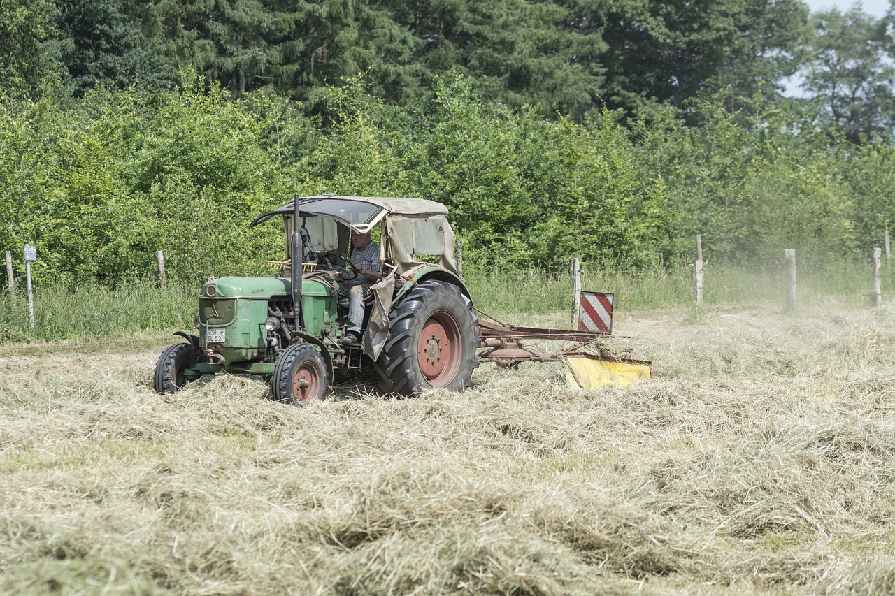 Image - haymaking agriculture hay