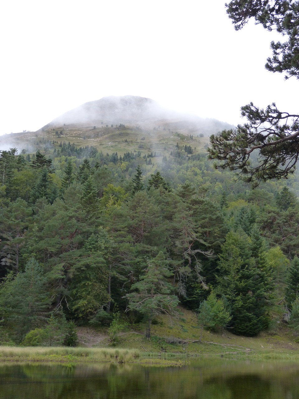Image - fog pond baassa d oles val d aran