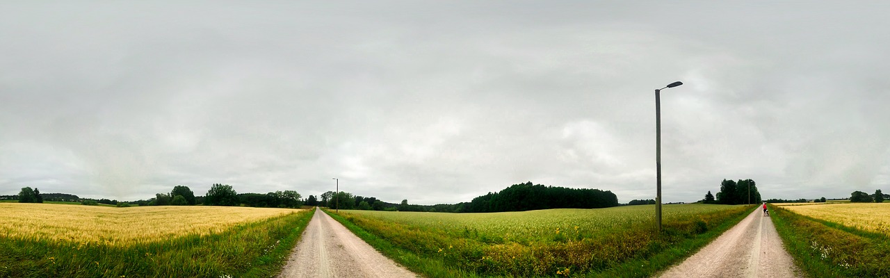 Image - field agriculture farming landscape