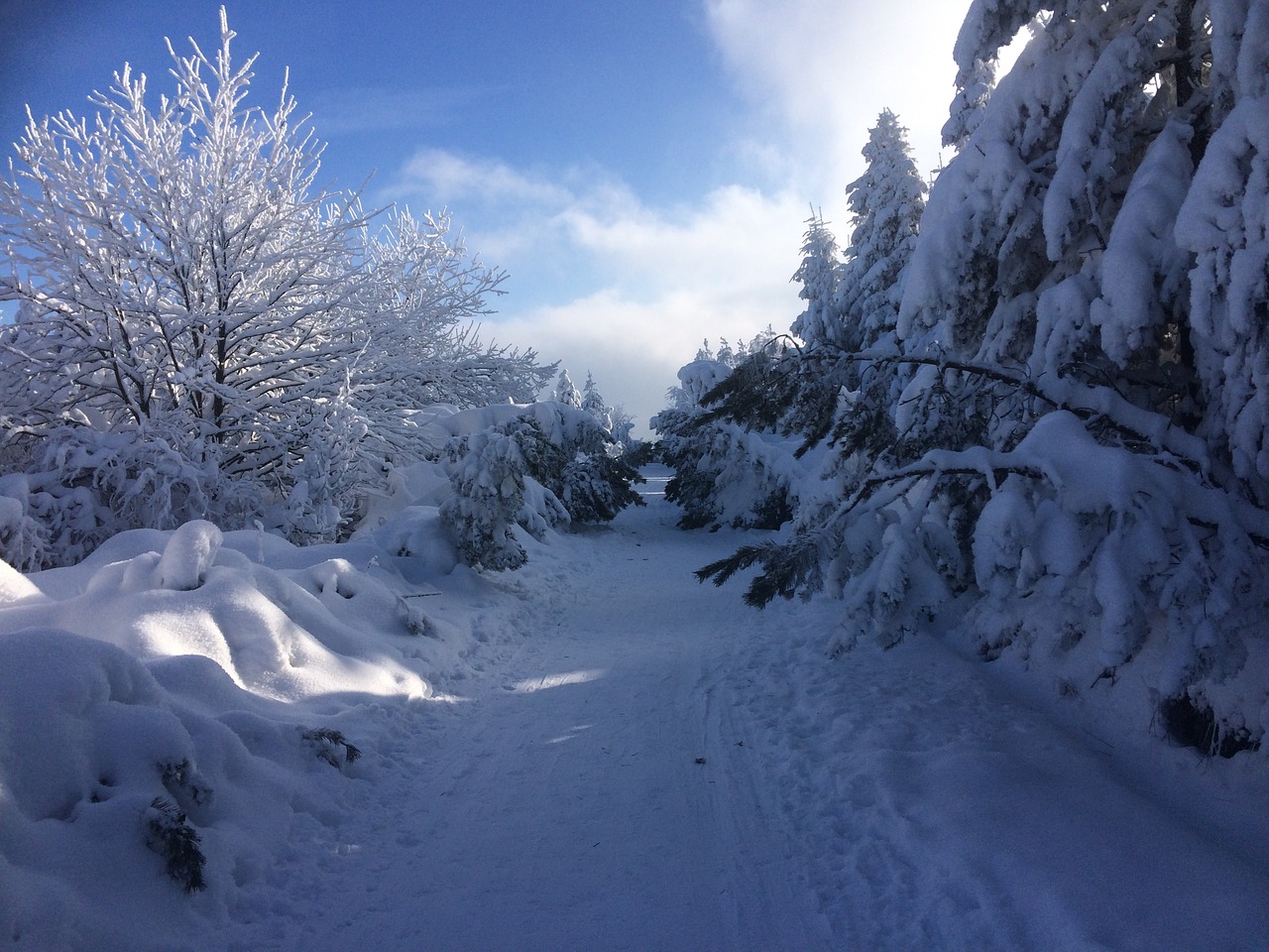 Image - altenberg winter snow winter sports