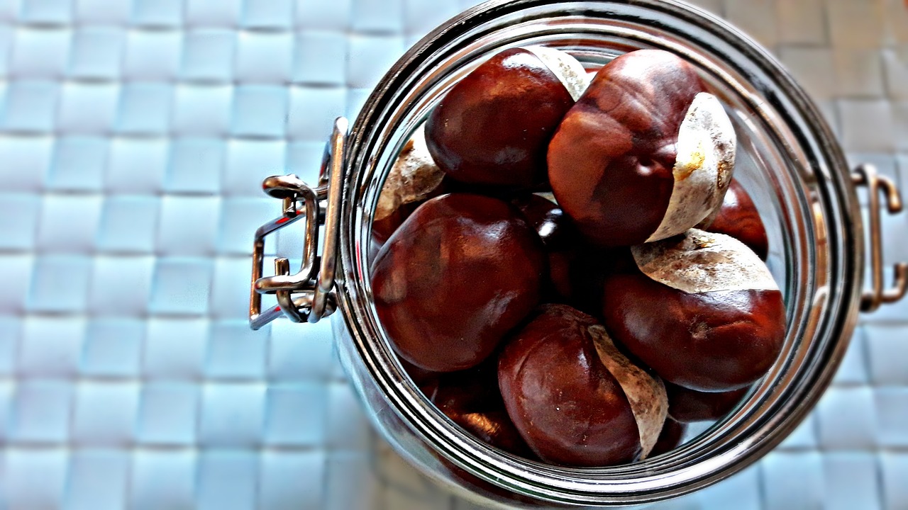 Image - jar chestnuts chestnut autumn