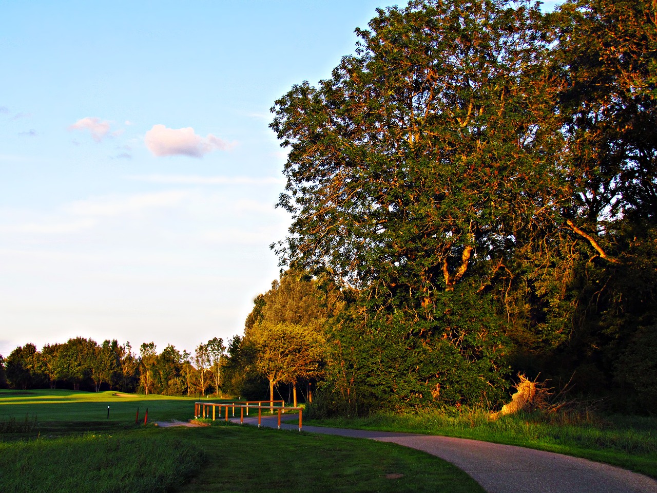 Image - field golf meadow the sun nature