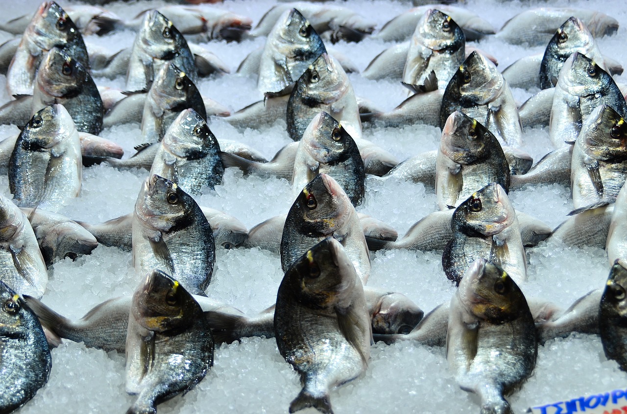 Image - food meat fish market
