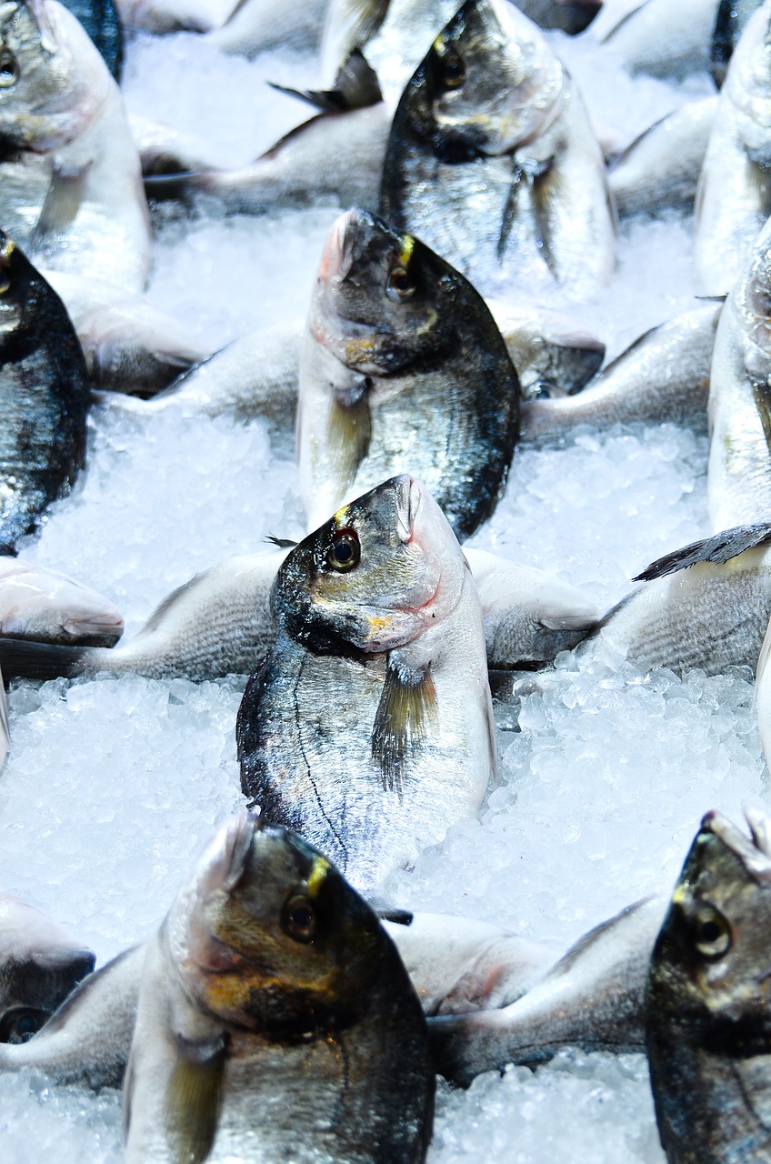 Image - food meat fish market