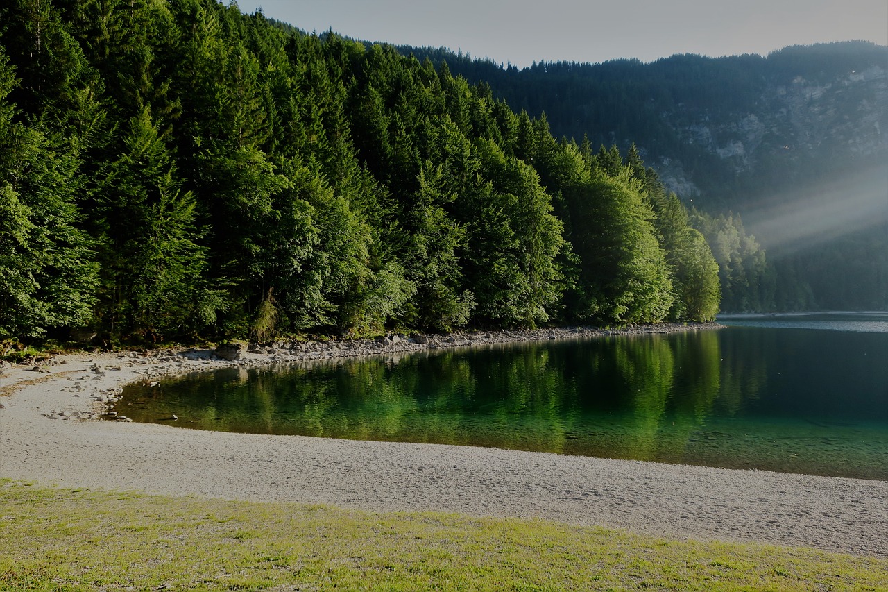 Image - eibsee abendstimmung beach forest