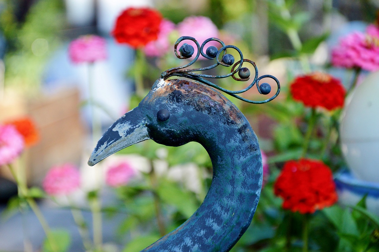 Image - peacock peacock head deco