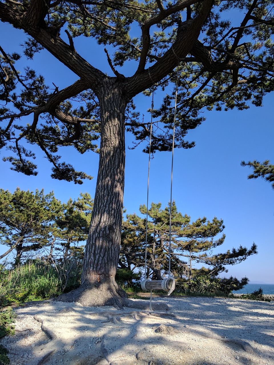 Image - beach swing wood blue sky