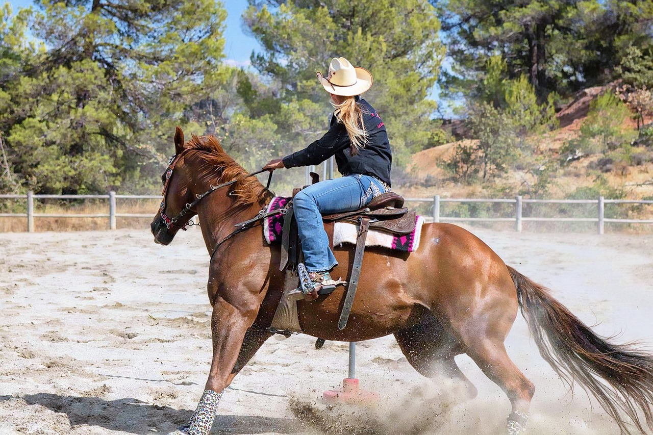 Image - horse mane equine shoe