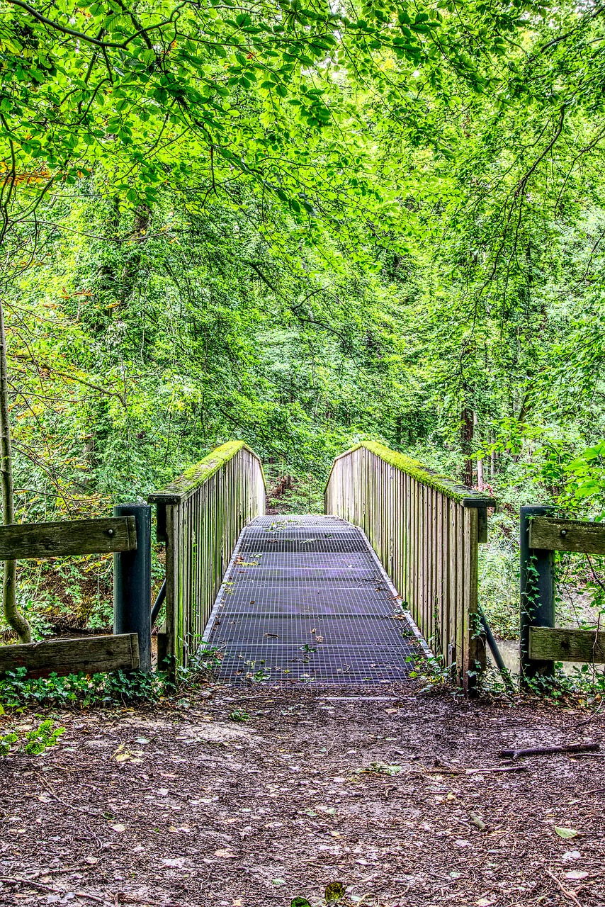 Image - bridge forest forest path nature