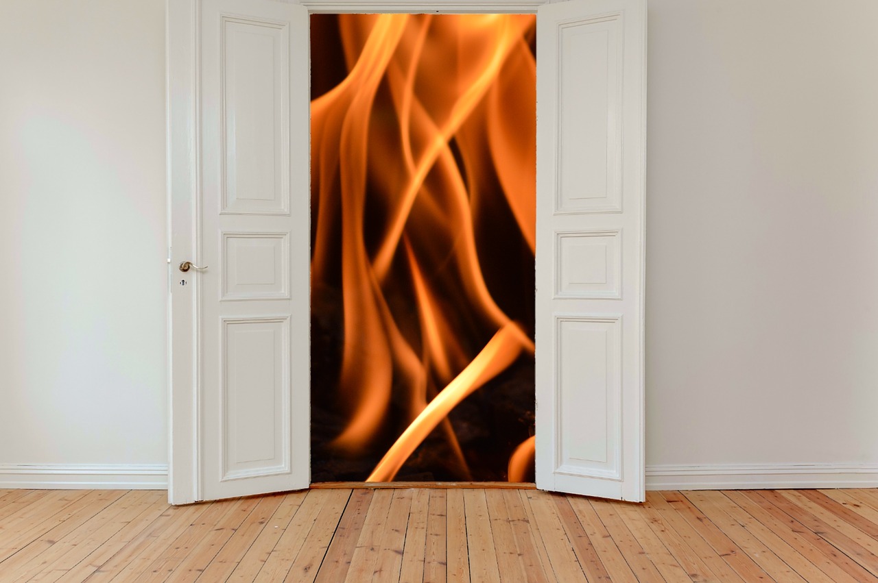 Image - hinged doors door input old door