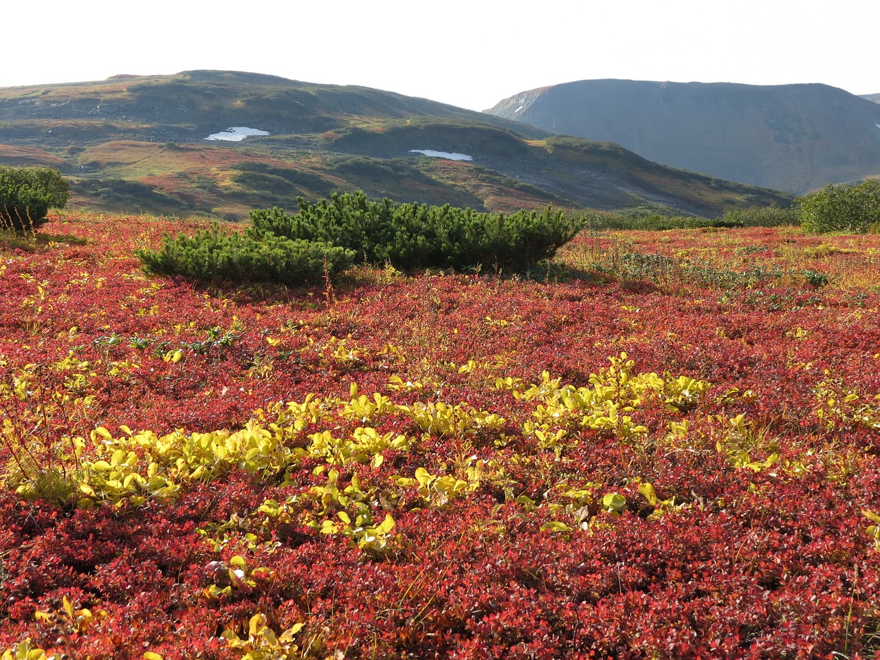 Image - mountain tundra mountains ranges