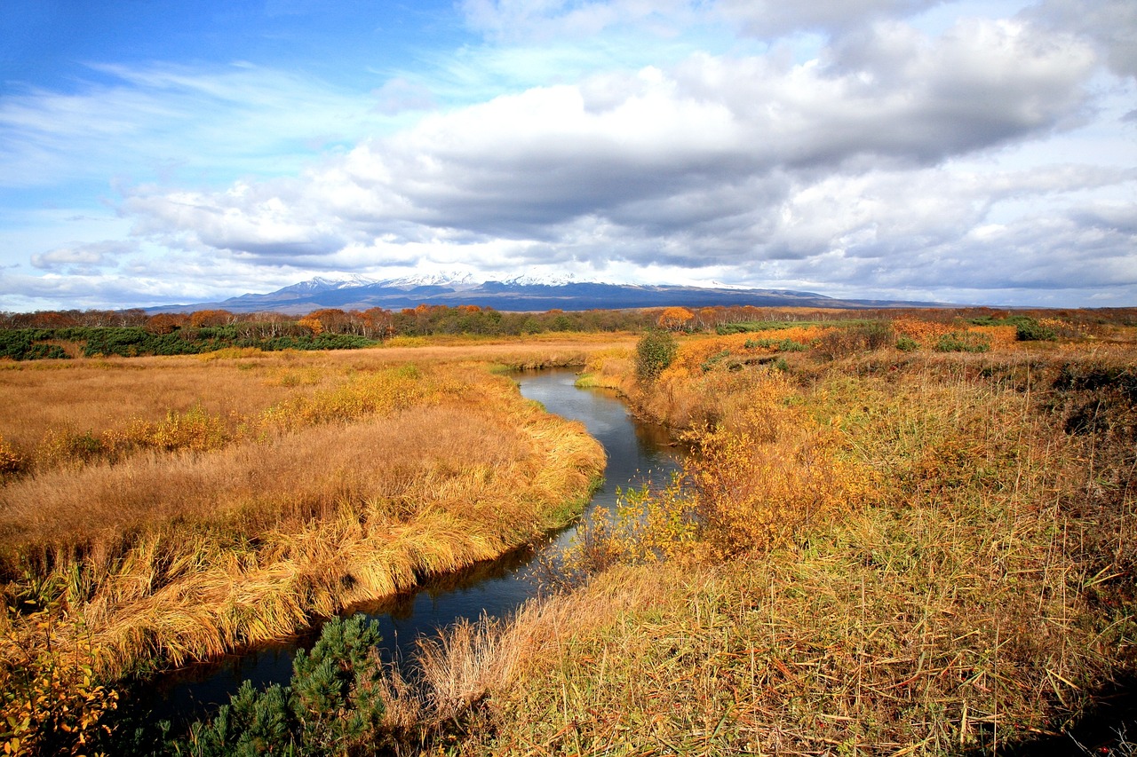 Image - tundra river autumn clouds swamp