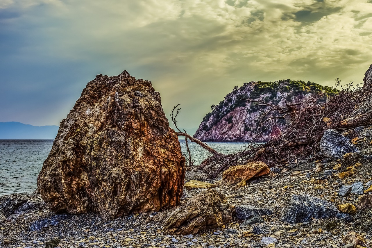 Image - pebble beach wild rock fallen tree