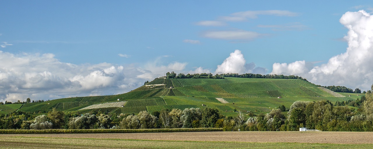 Image - vineyard fields wine sky