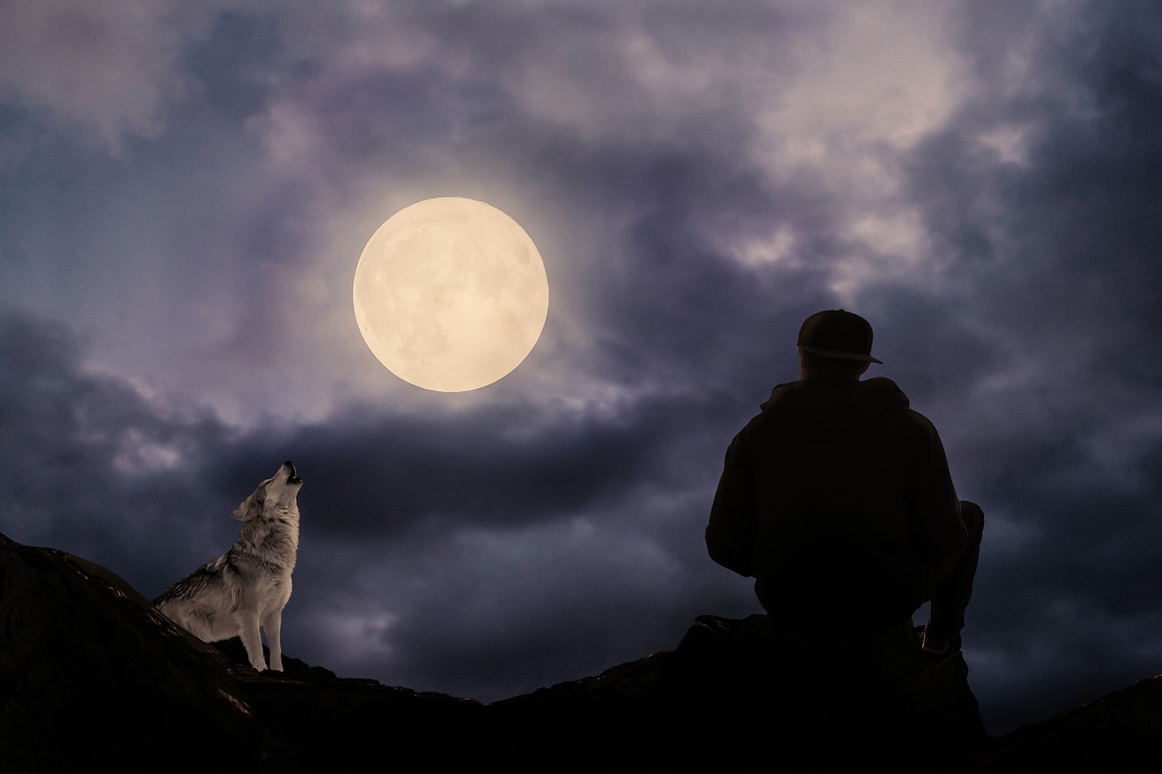 Image - full moon moonlight man wolf
