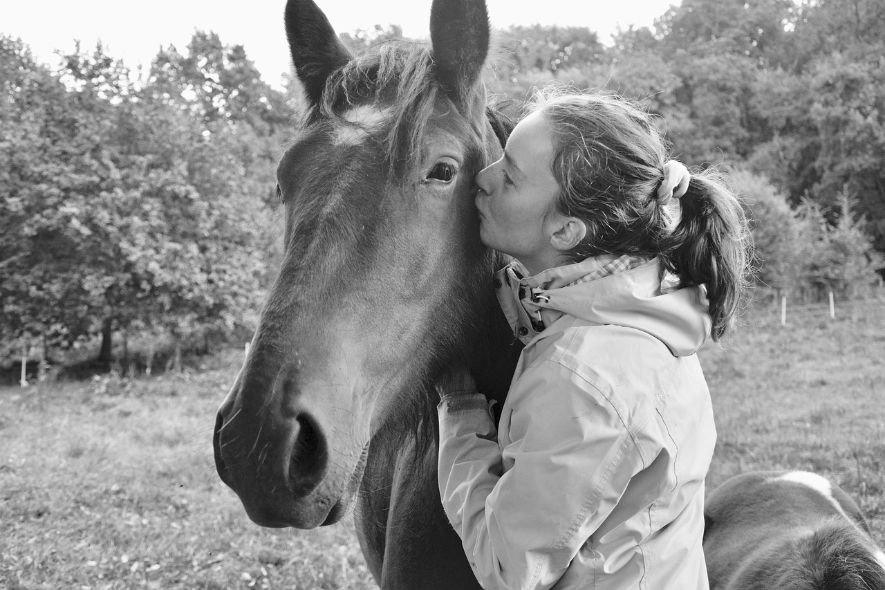 Image - kiss kisses horse girl young woman