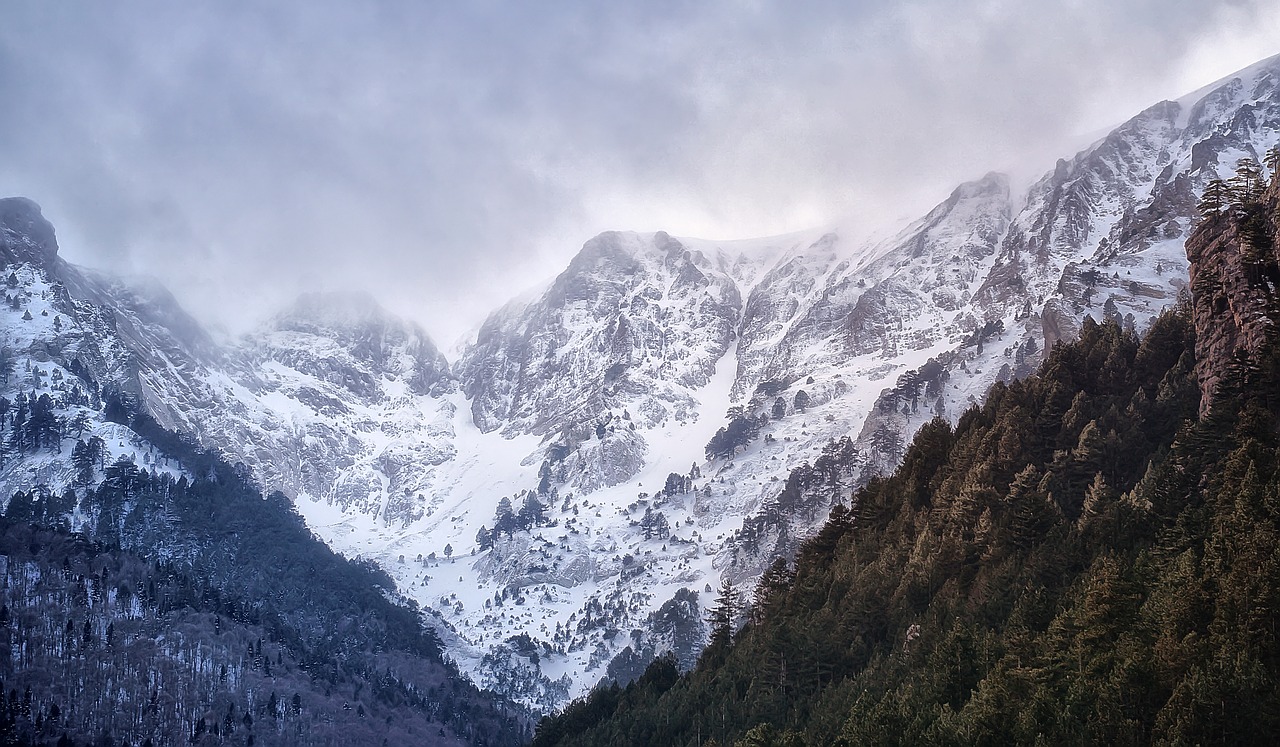 Image - mountain snow trees landscape sky