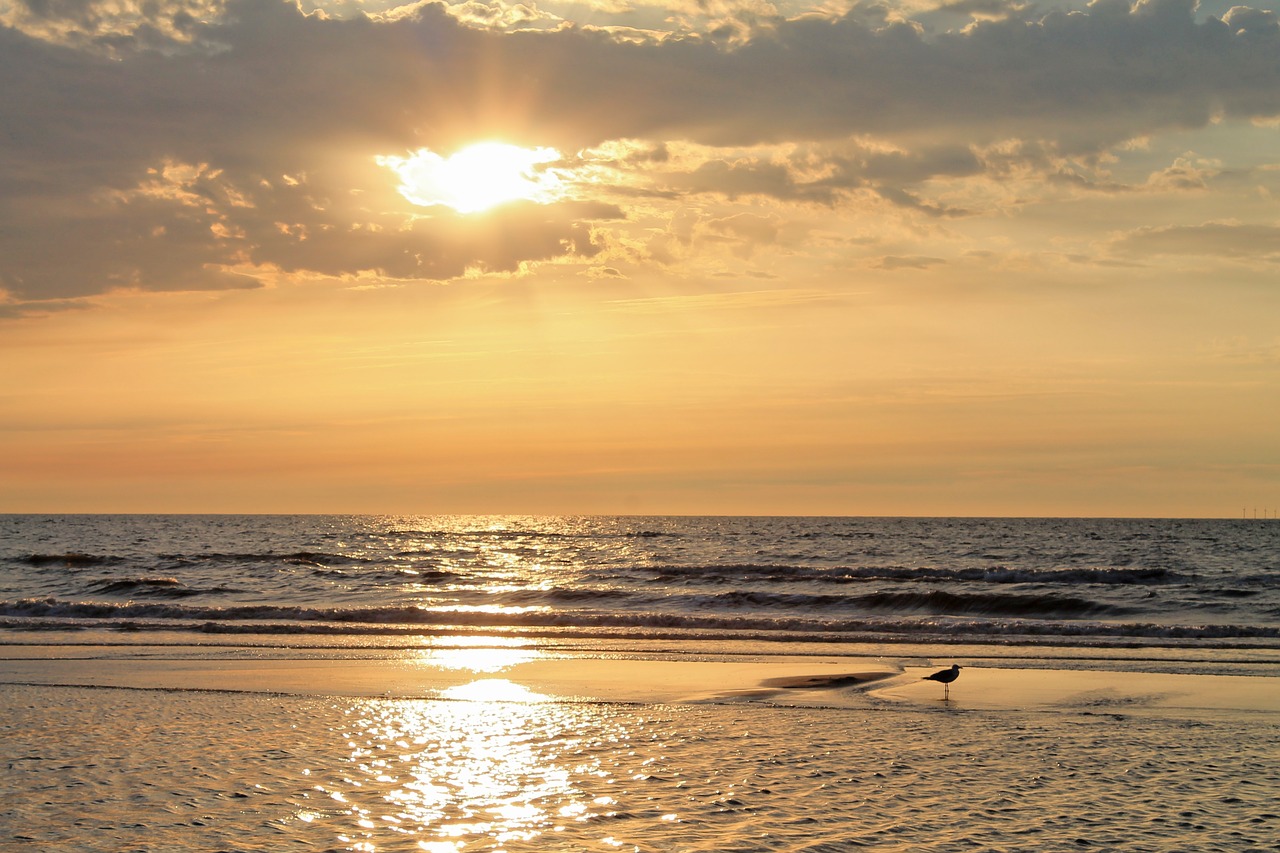 Image - north sea sunset golden sandbar