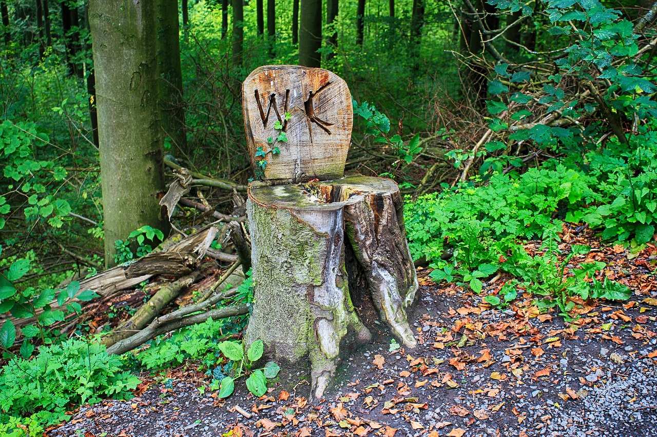 Image - trail wc nature biological