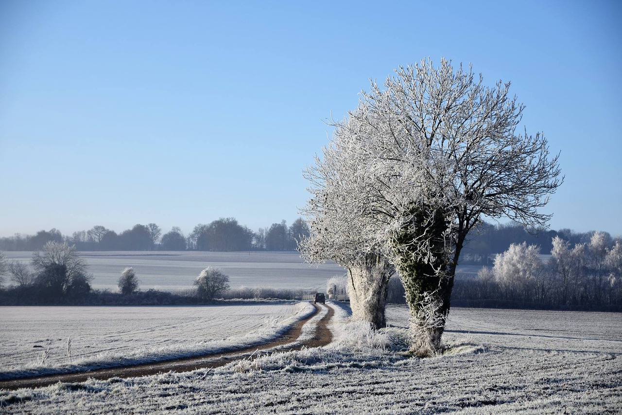 Image - landscapes normandy france field