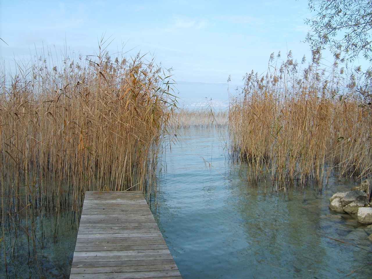 Image - web lakeside winter mood