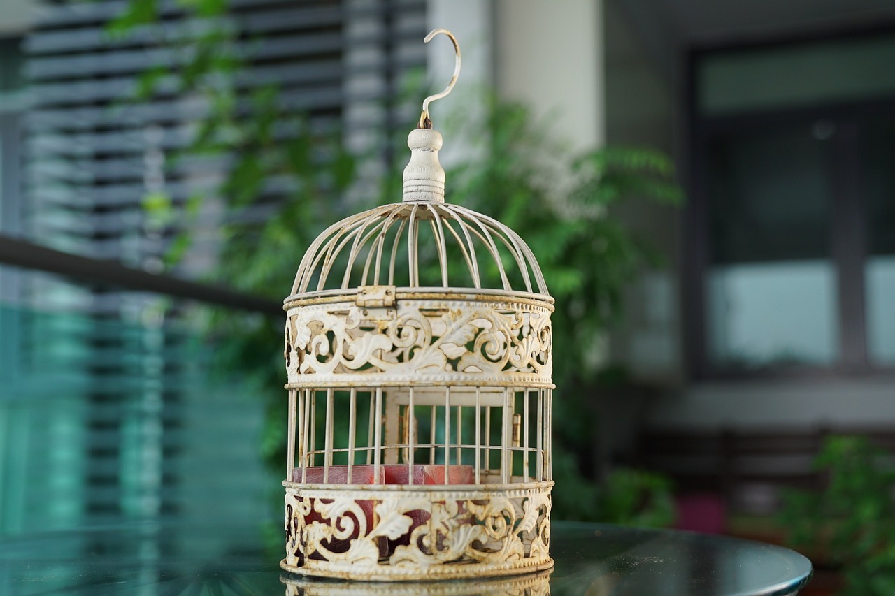 Image - bird cage vintage decorative