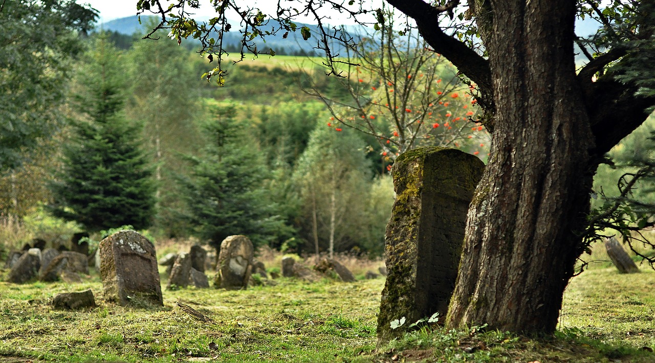 Image - cemetery lutowiska jewish matzeva