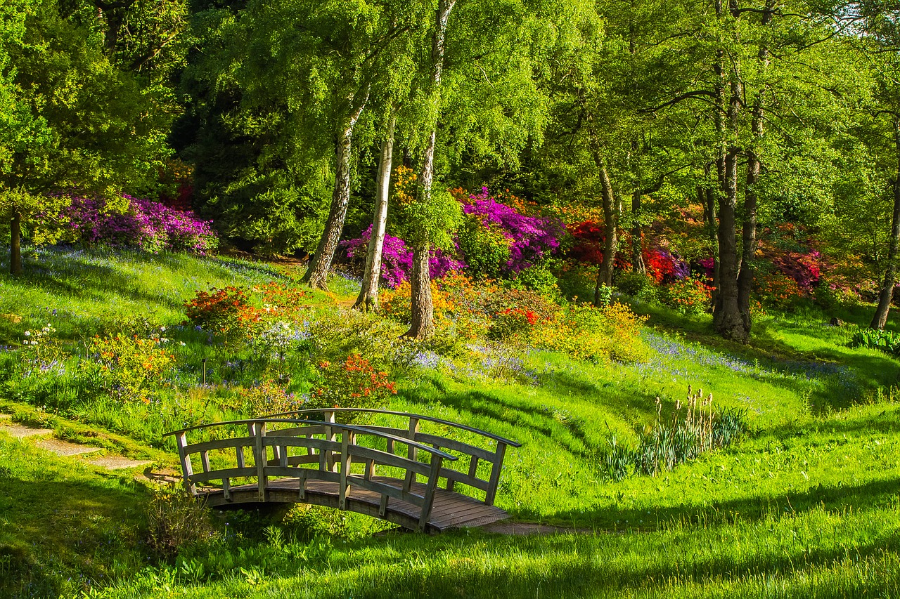 Image - bridge park rododendron nature