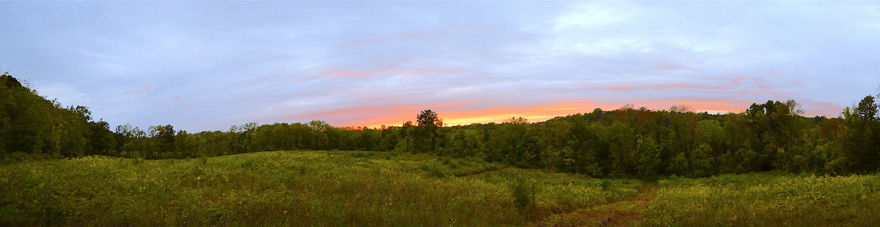 Image - sunset sky trees field nature sun