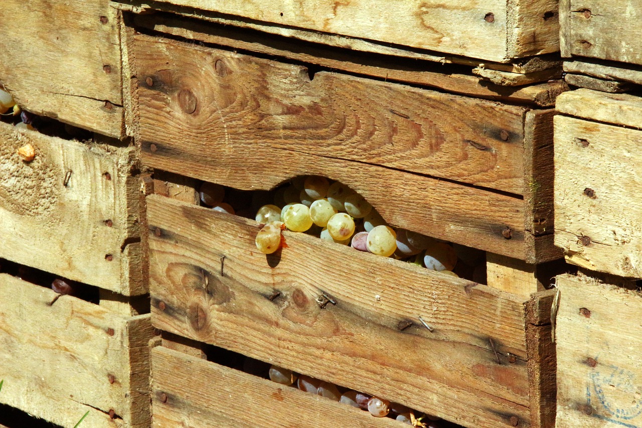 Image - vintage grapes autumn wooden box