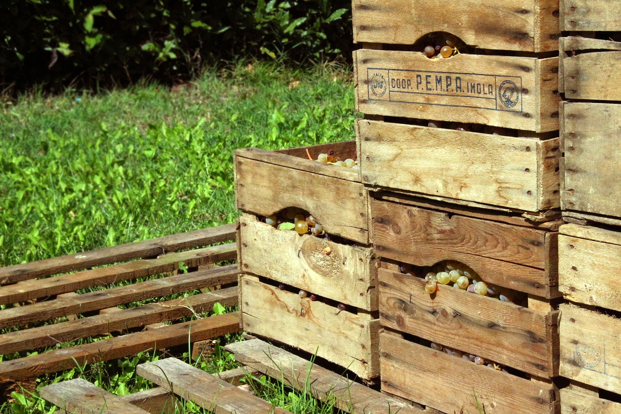 Image - vintage grapes autumn wooden box