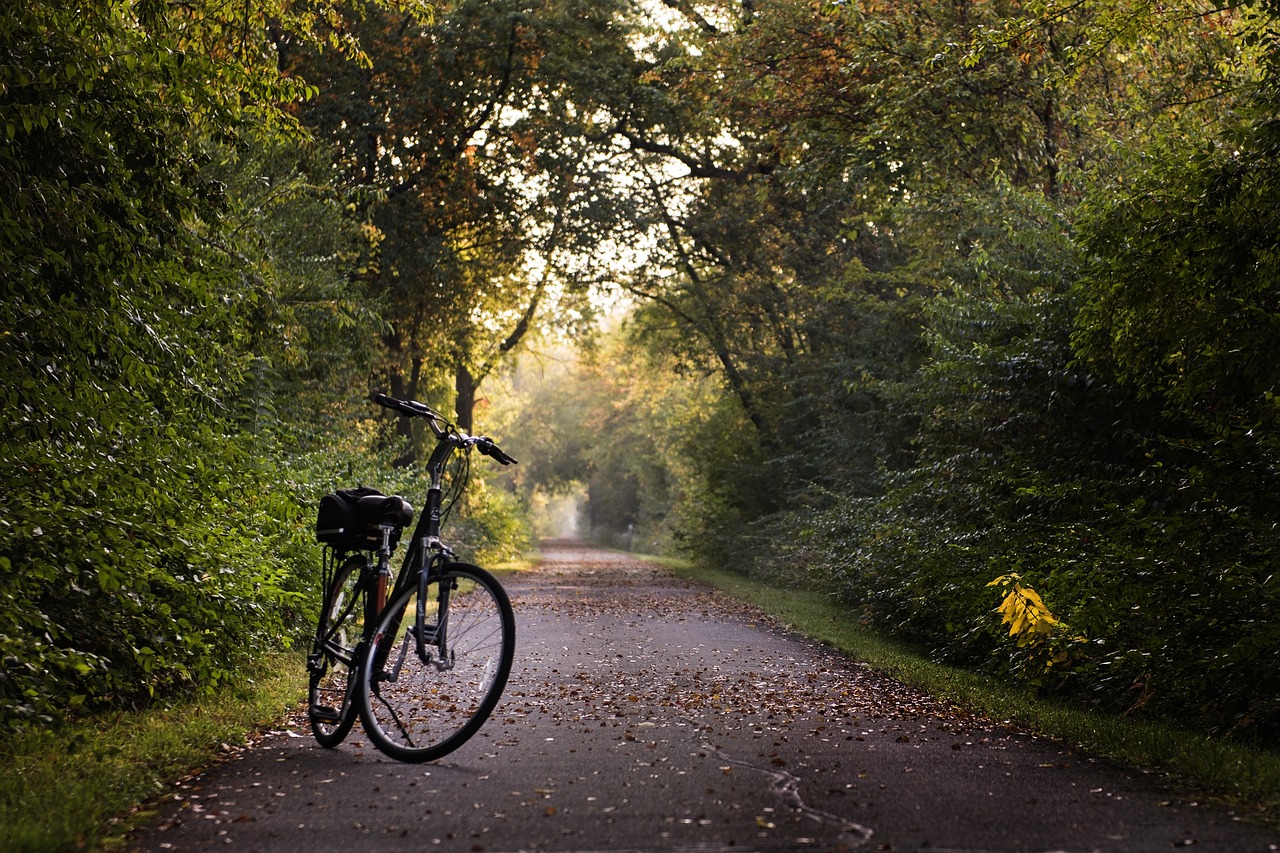 Image - bike trail bicycle sport ride