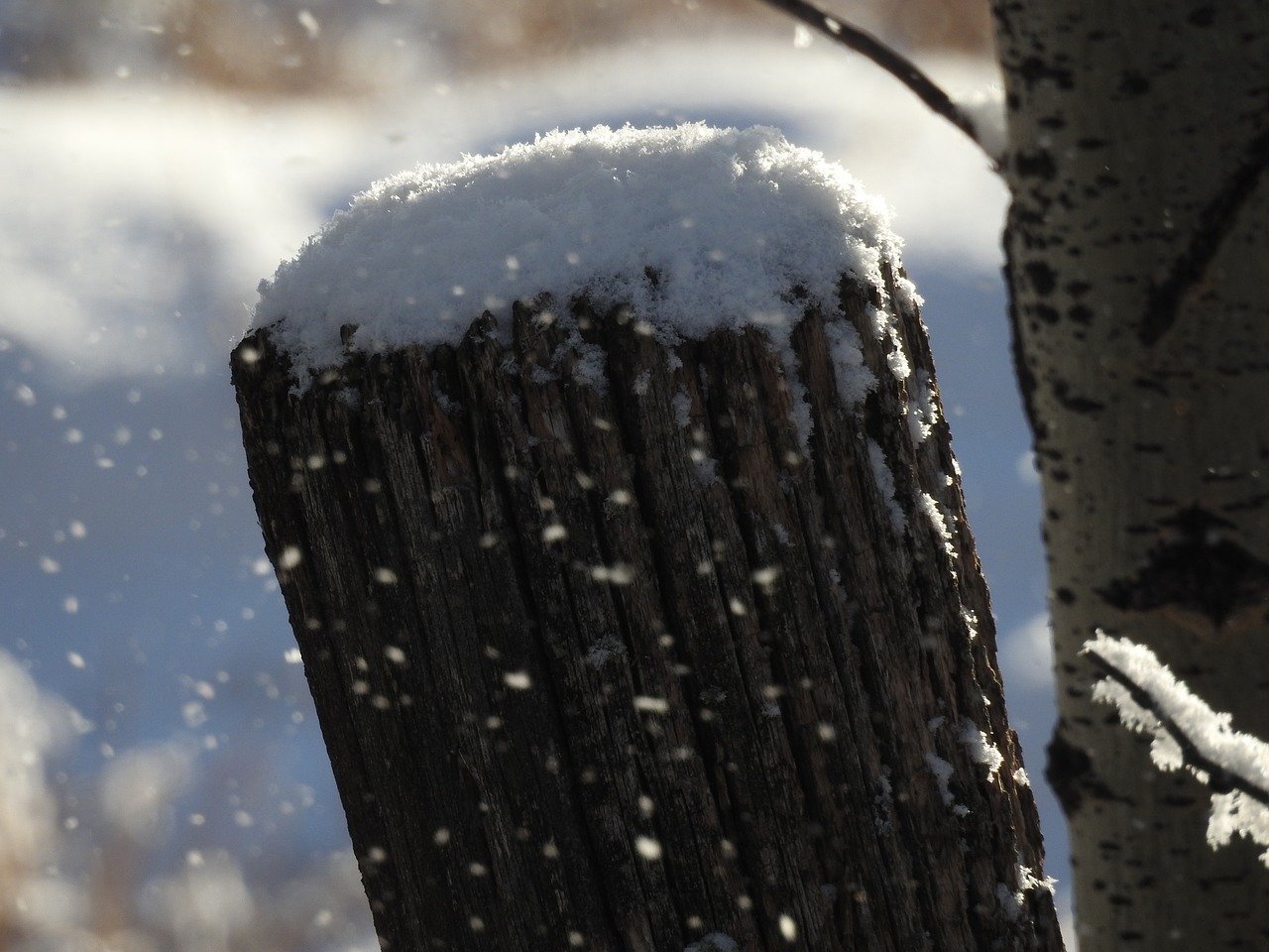 Image - winter fence post snow nature post