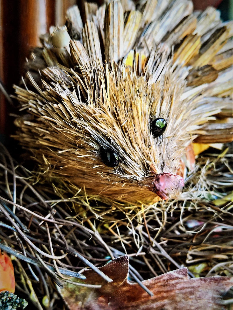 Image - hedgehog straw hedgehog autumn