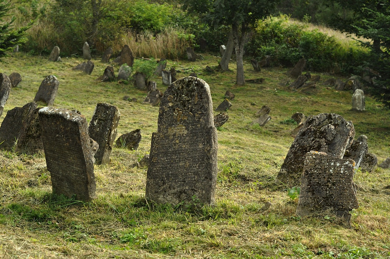 Image - cemetery jewish cemetery lutowiska