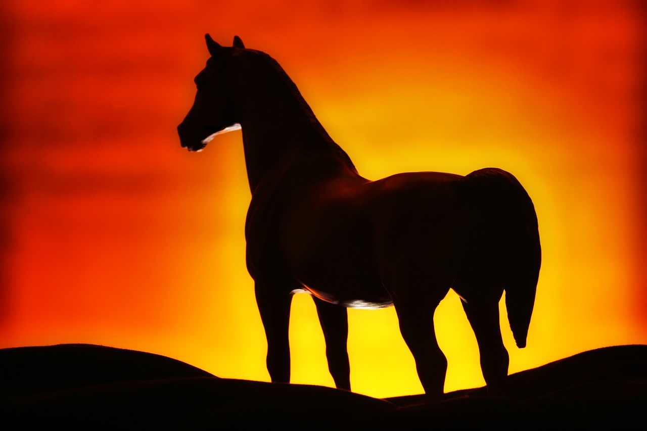 Image - silhouette horse toy sunset
