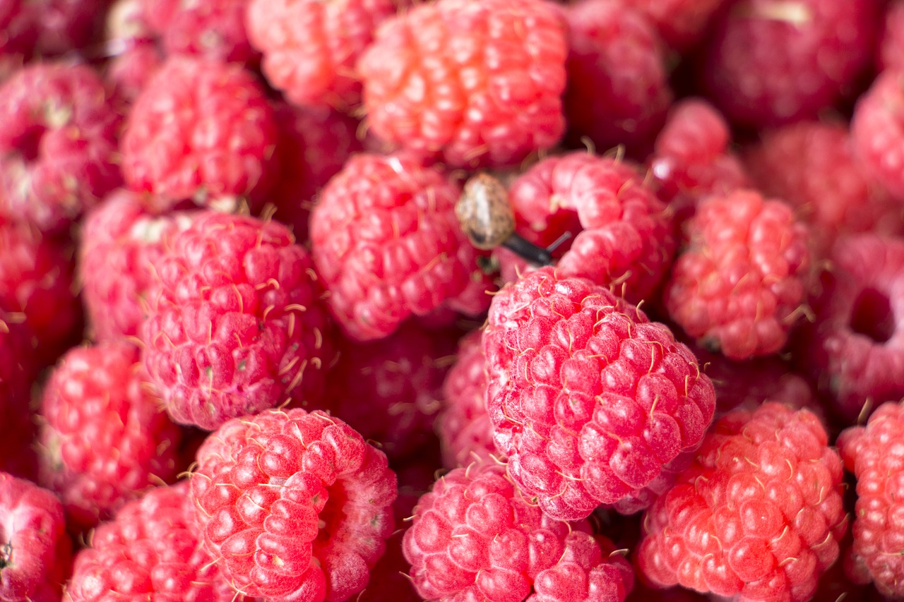 Image - raspberry background fresh berries