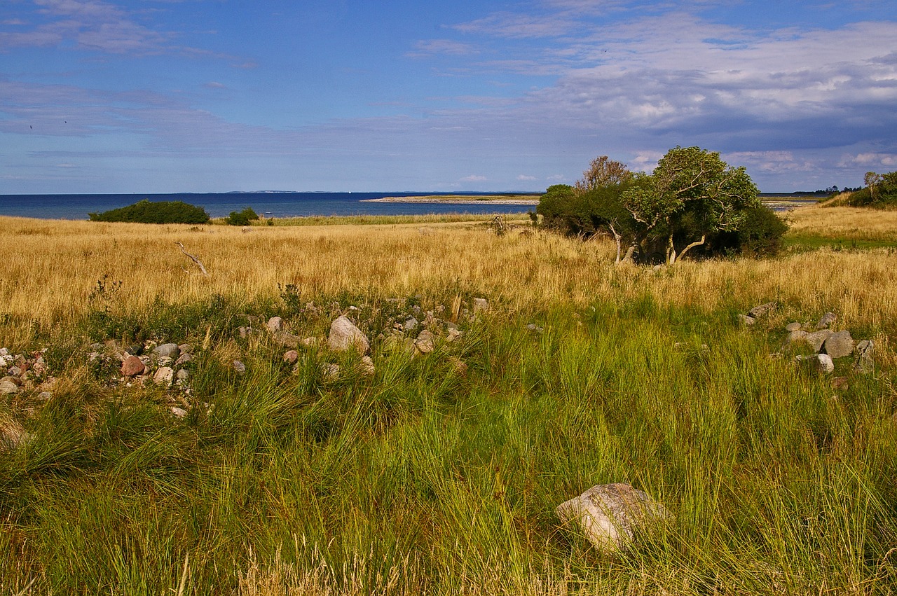 Image - gate denmark danish coast island