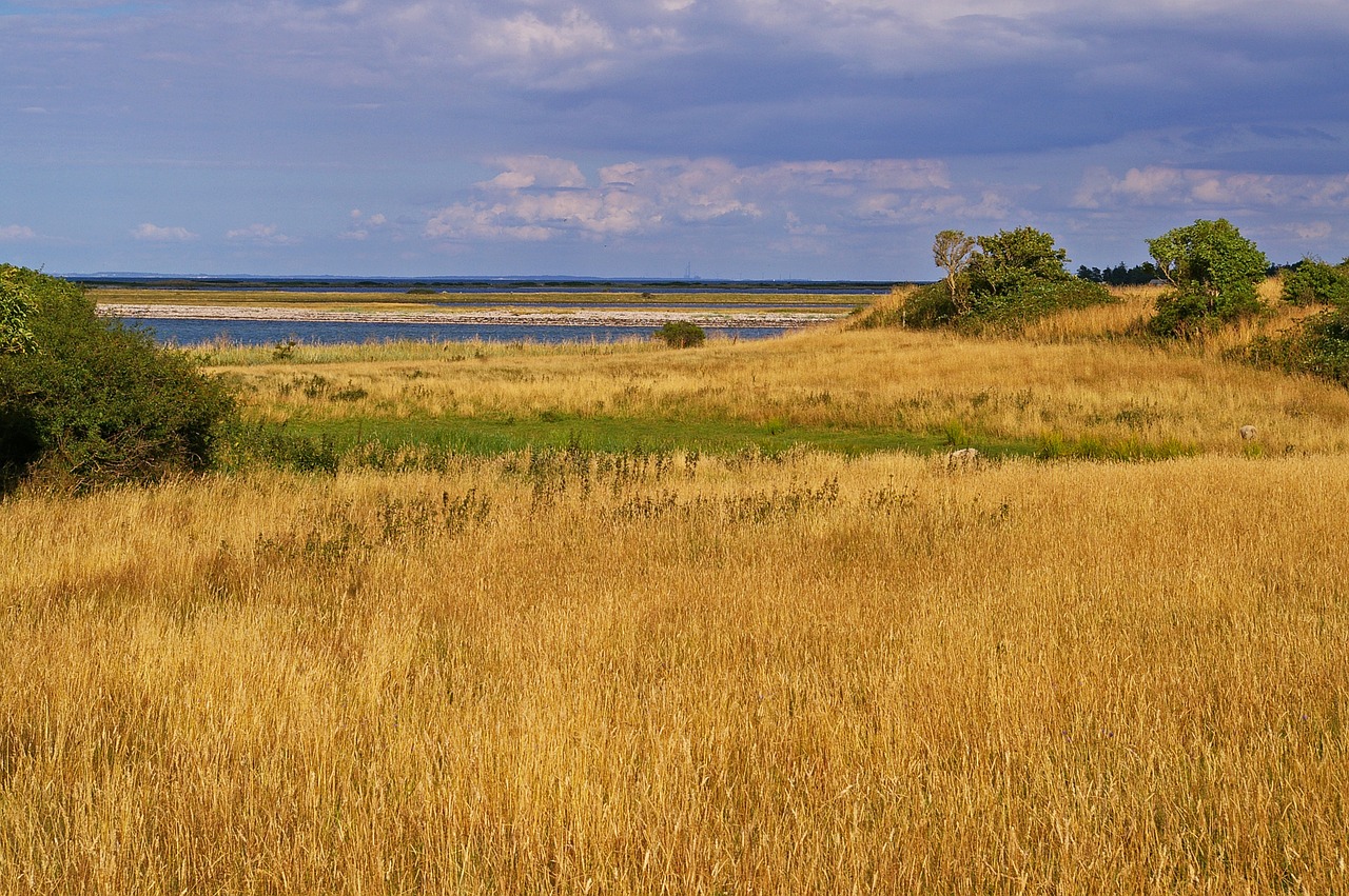 Image - gate denmark danish coast island