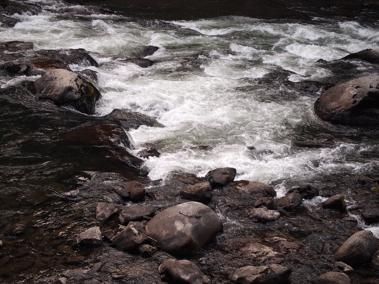 Image - river stream water nature scenic