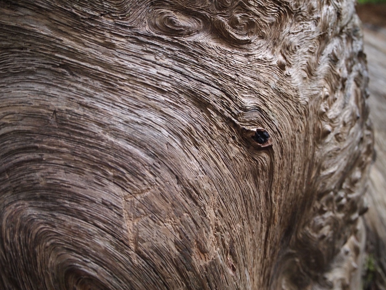 Image - log macro wood texture pattern
